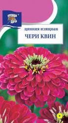цв. одн. ЦИНИЯ  ЧЕРИ КВИН  / Урожай у Дачи /